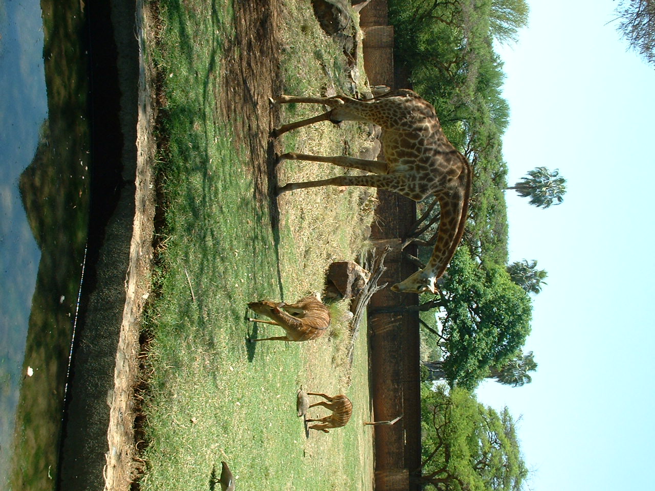 National Zoo of South Africa - Oct 2011