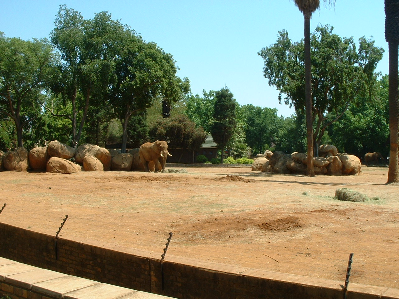 National Zoo of South Africa - Oct 2011