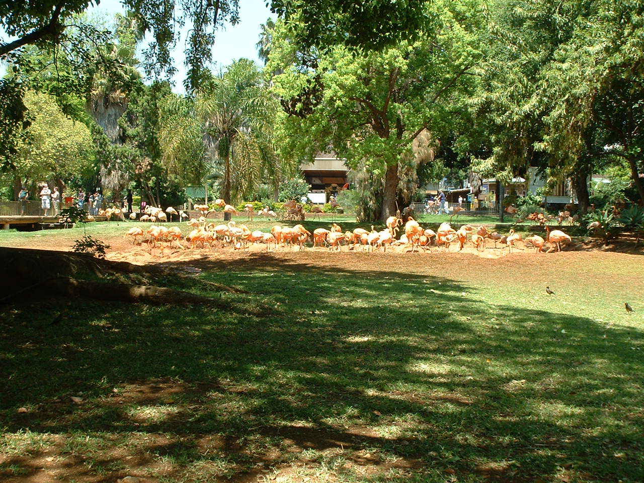 National Zoo of South Africa - Oct 2011