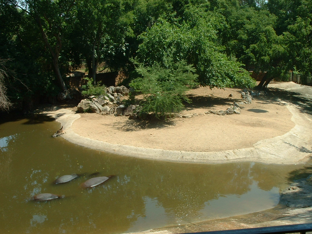 National Zoo of South Africa - Oct 2011