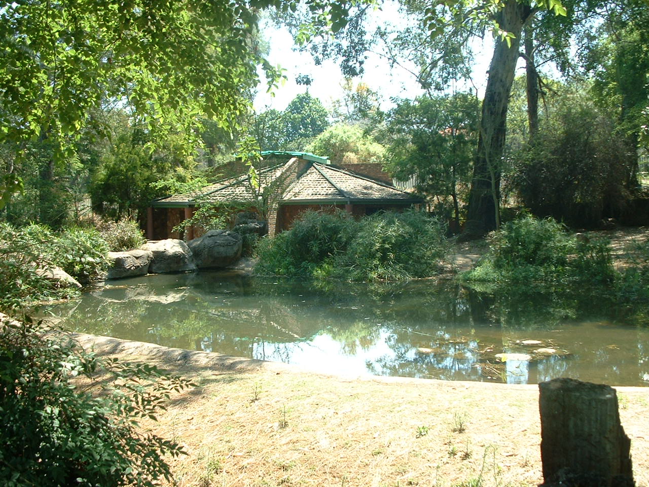 National Zoo of South Africa - Oct 2011