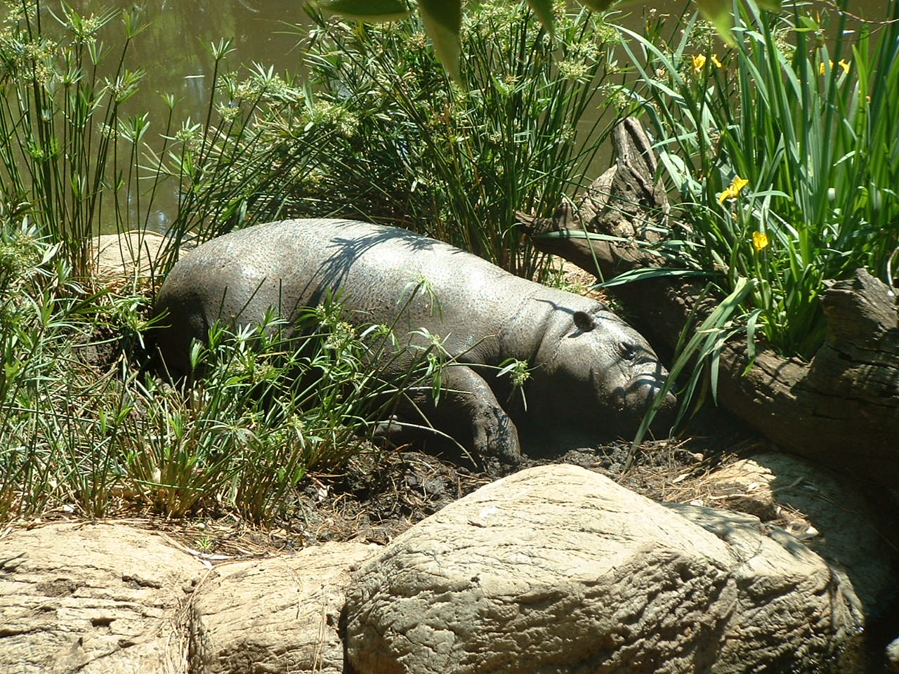 National Zoo of South Africa - Oct 2011