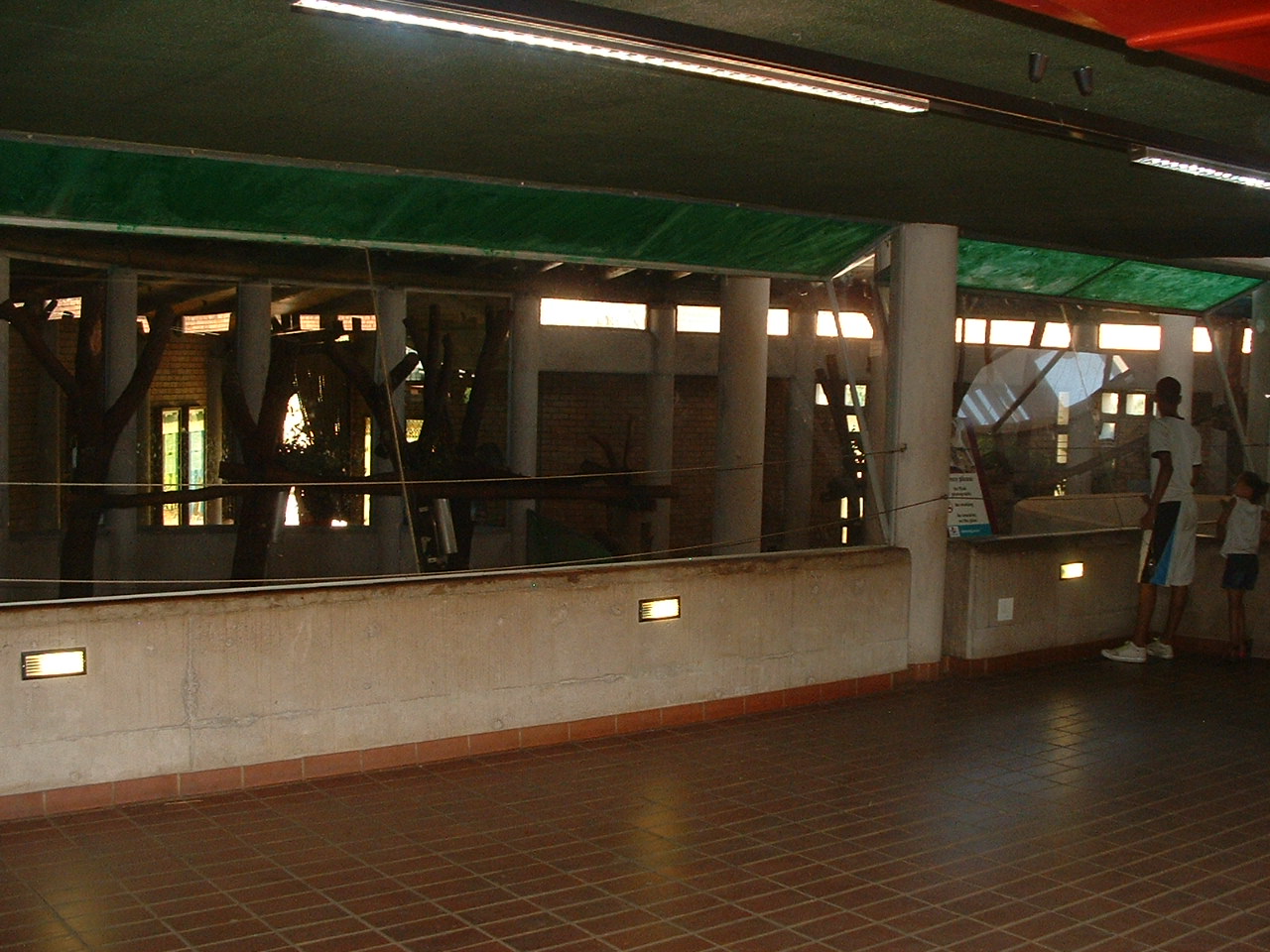 National Zoo of South Africa - Oct 2011