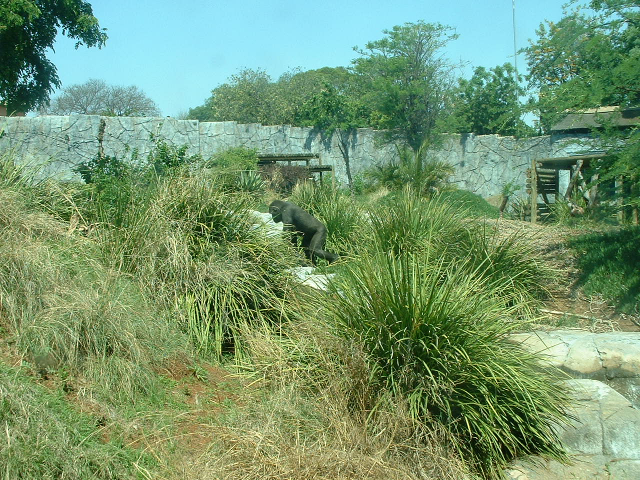 National Zoo of South Africa - Oct 2011