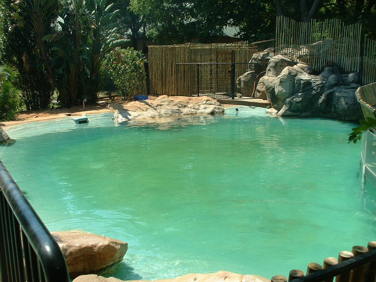 National Zoo of South Africa - Oct 2011