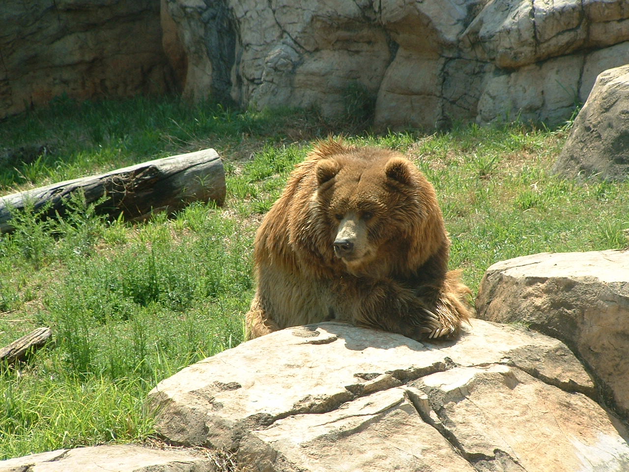 National Zoo of South Africa - Oct 2011
