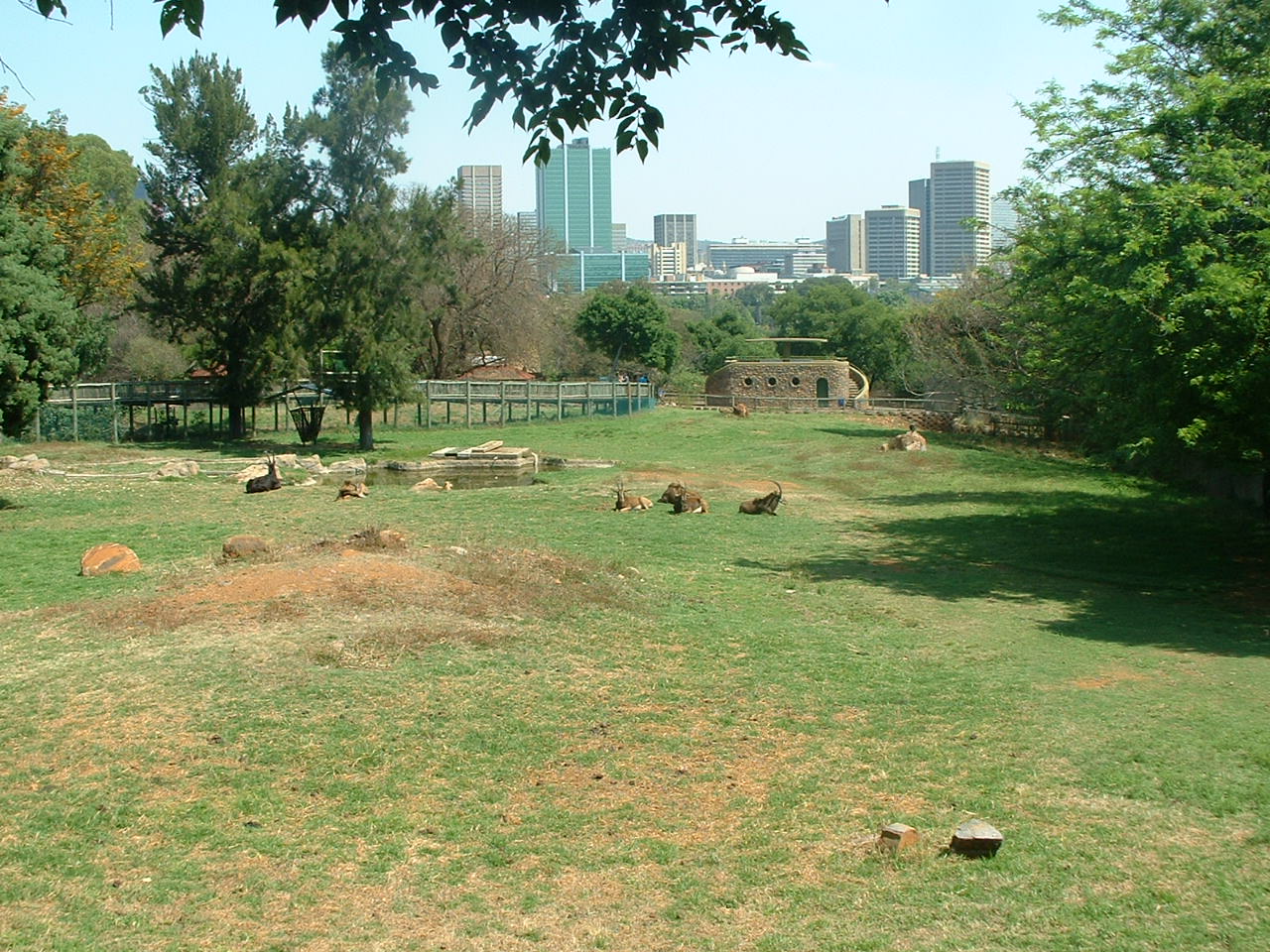 National Zoo of South Africa - Oct 2011