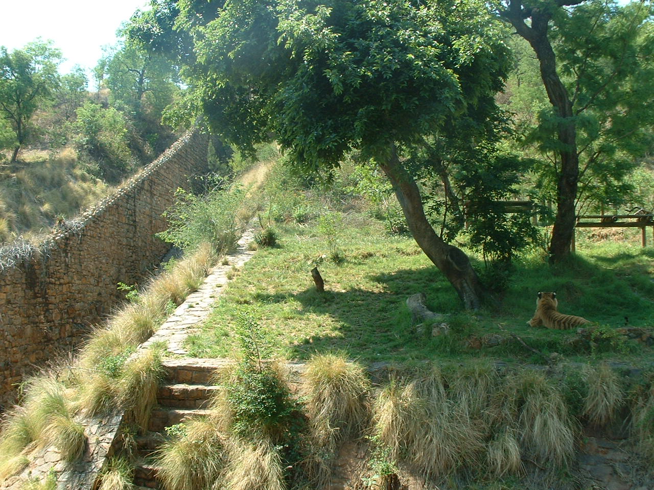 National Zoo of South Africa - Oct 2011