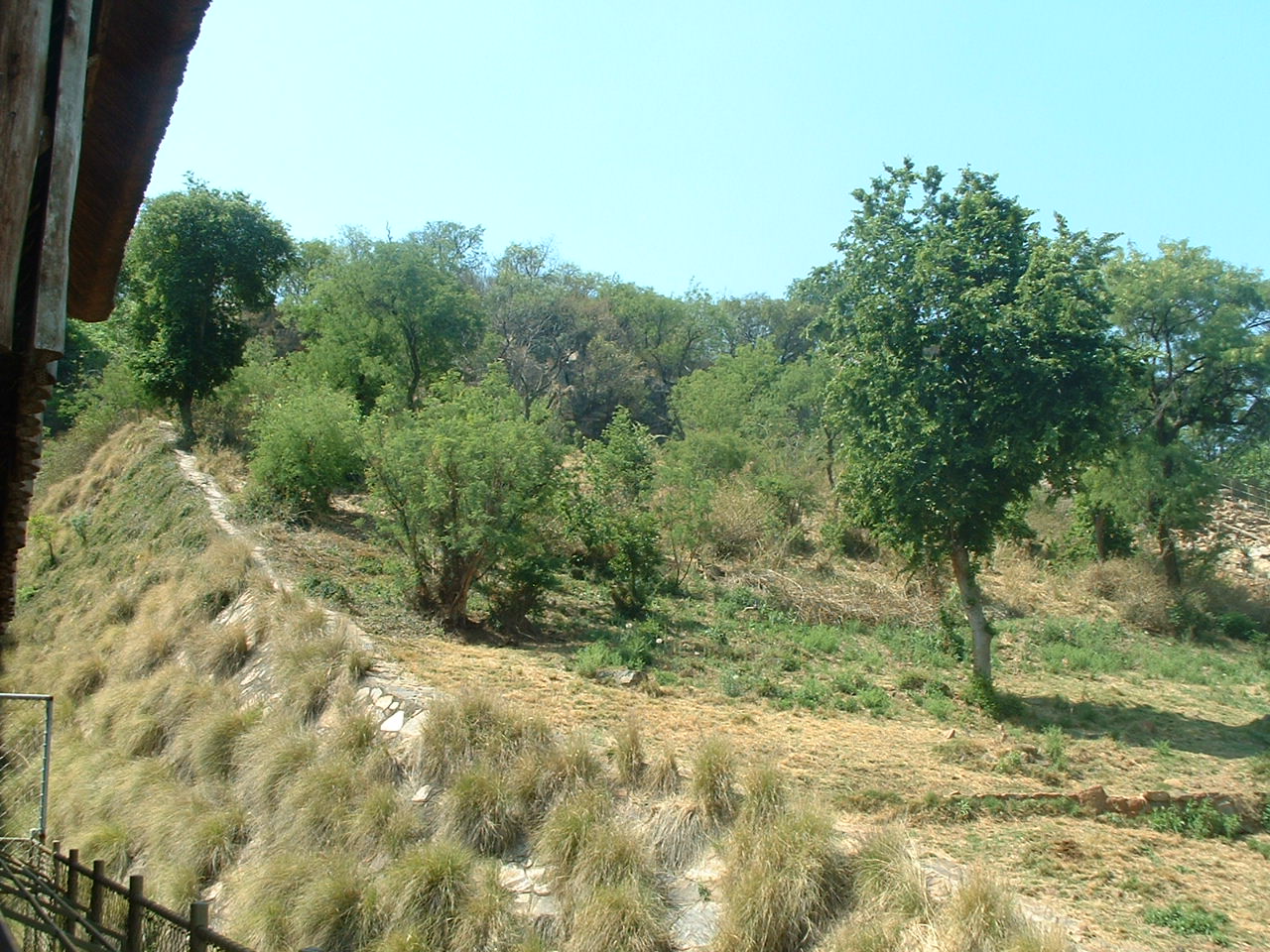 National Zoo of South Africa - Oct 2011