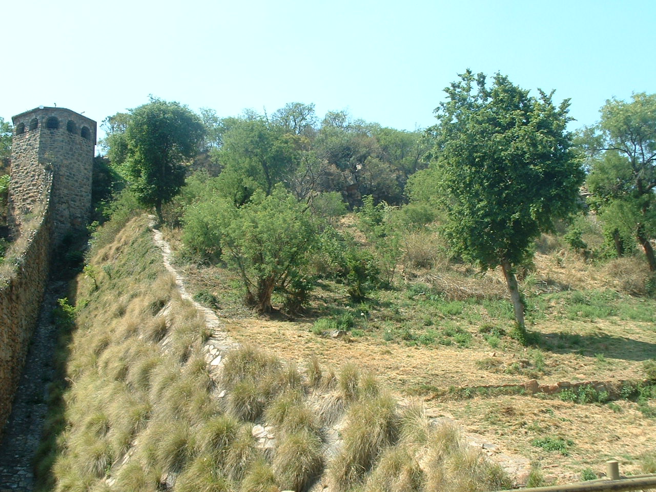National Zoo of South Africa - Oct 2011