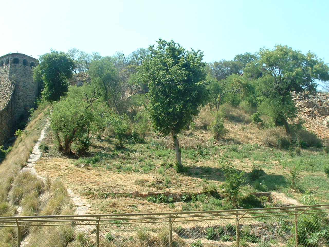 National Zoo of South Africa - Oct 2011