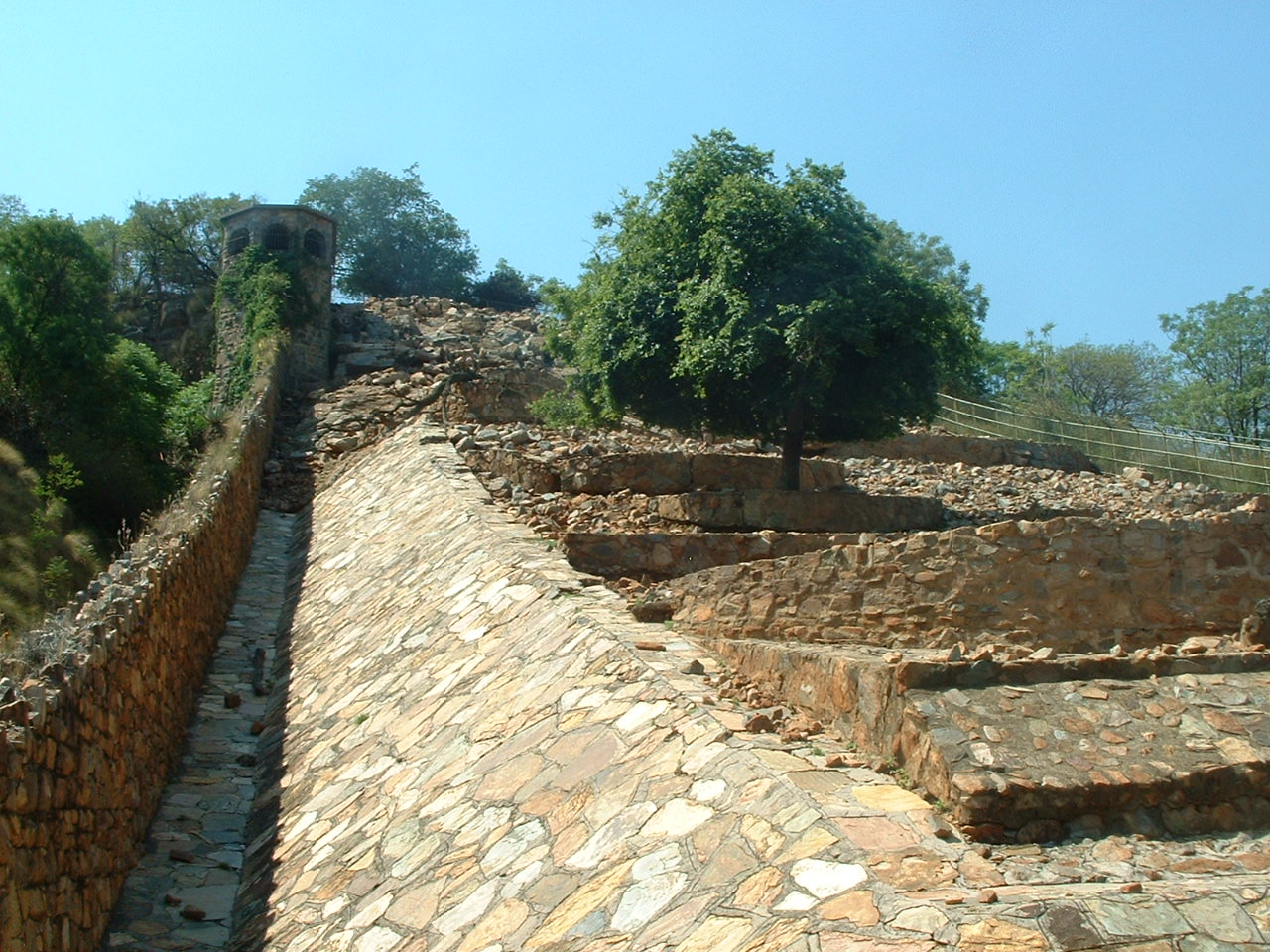 National Zoo of South Africa - Oct 2011