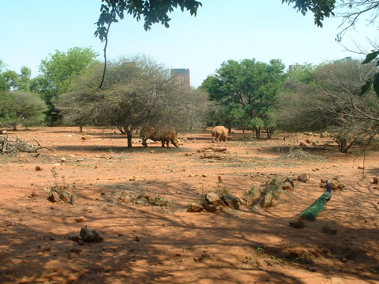 National Zoo of South Africa