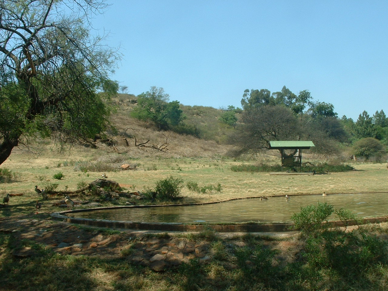 National Zoo of South Africa