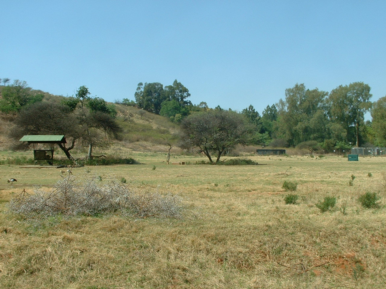 National Zoo of South Africa