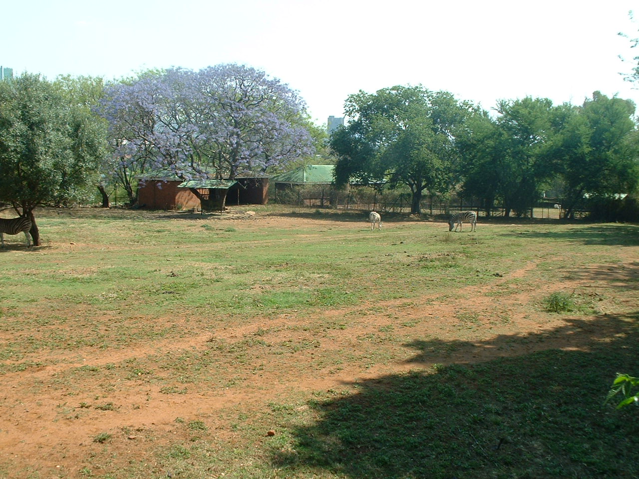 National Zoo of South Africa