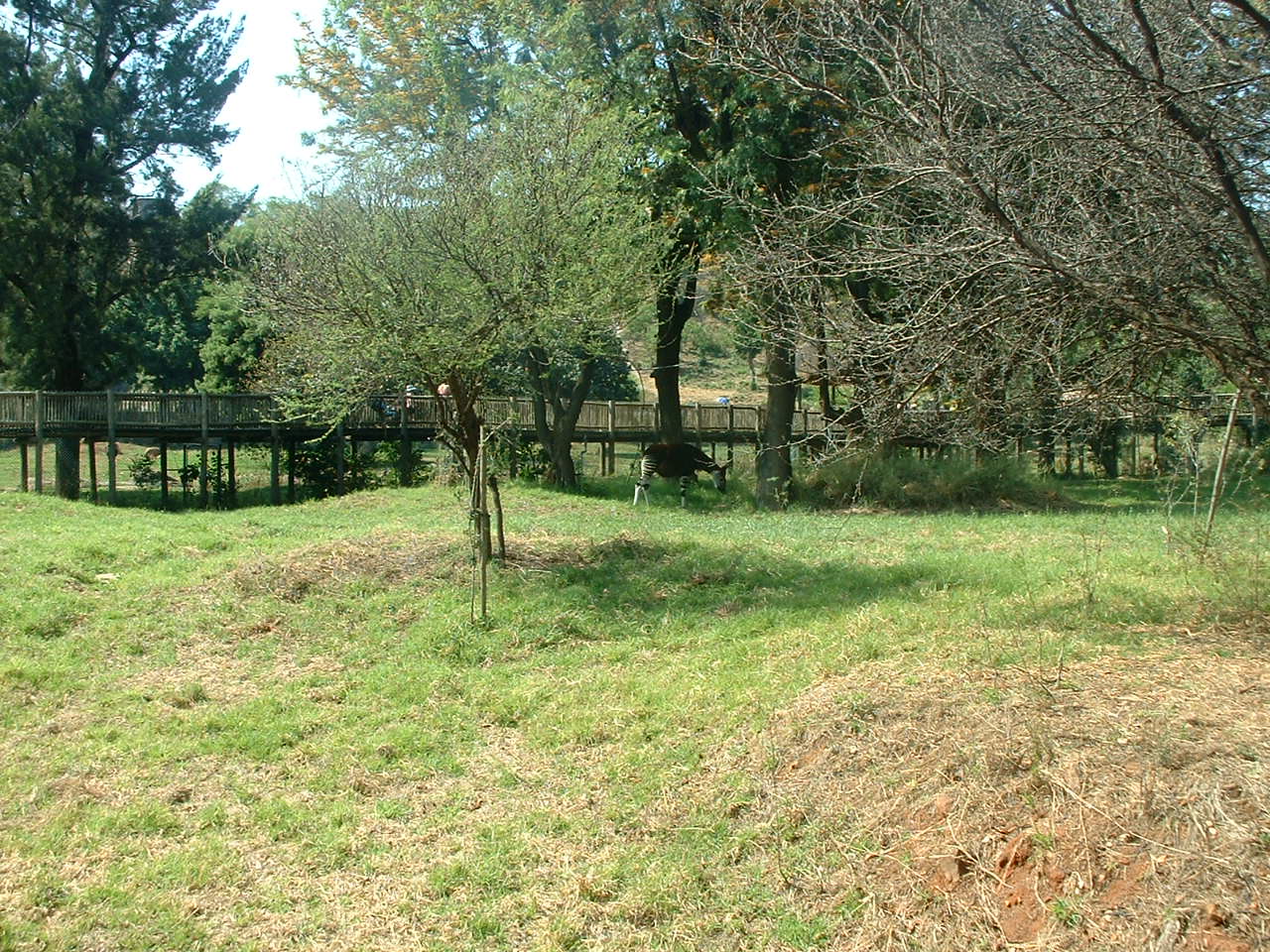 National Zoo of South Africa