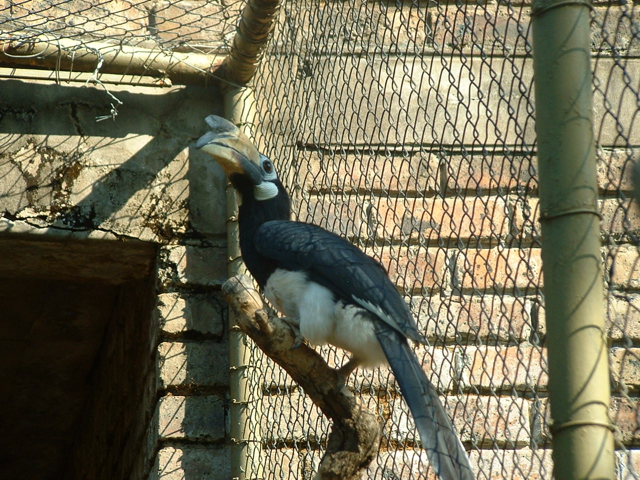 National Zoo of South Africa