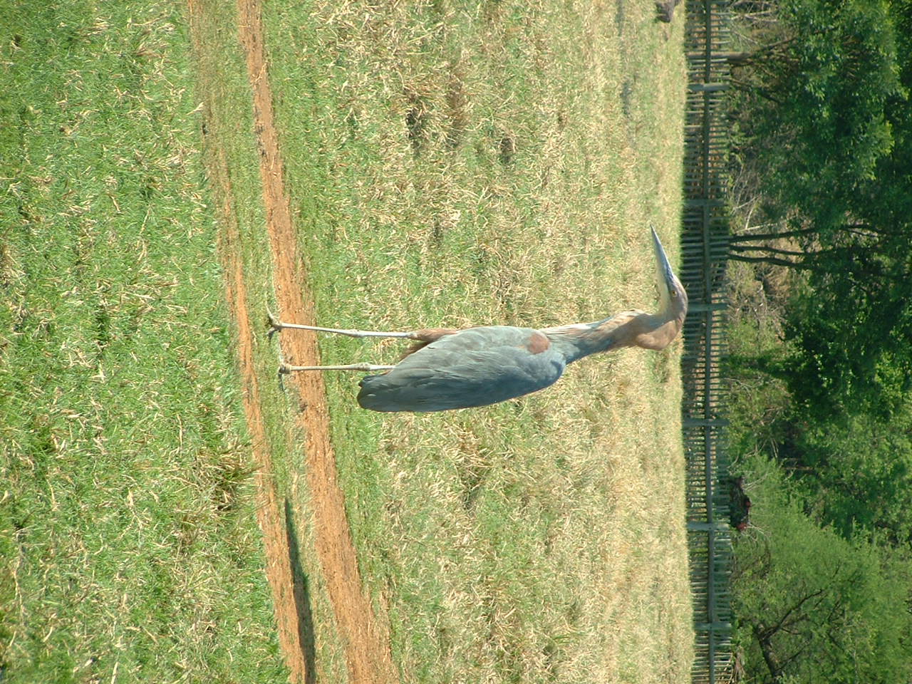 National Zoo of South Africa
