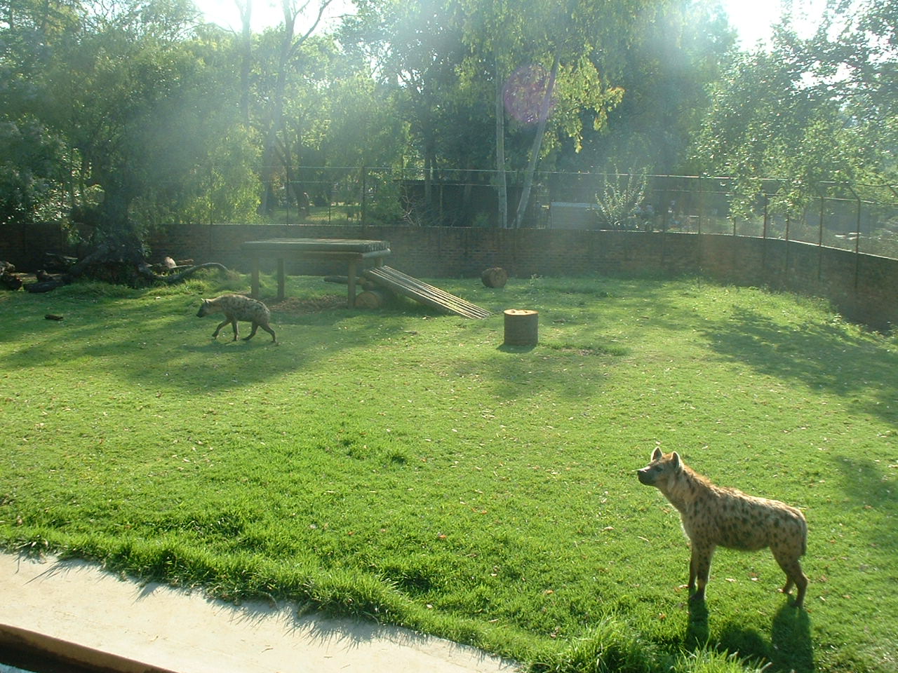 National Zoo of South Africa