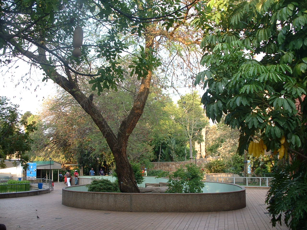 National Zoo of South Africa