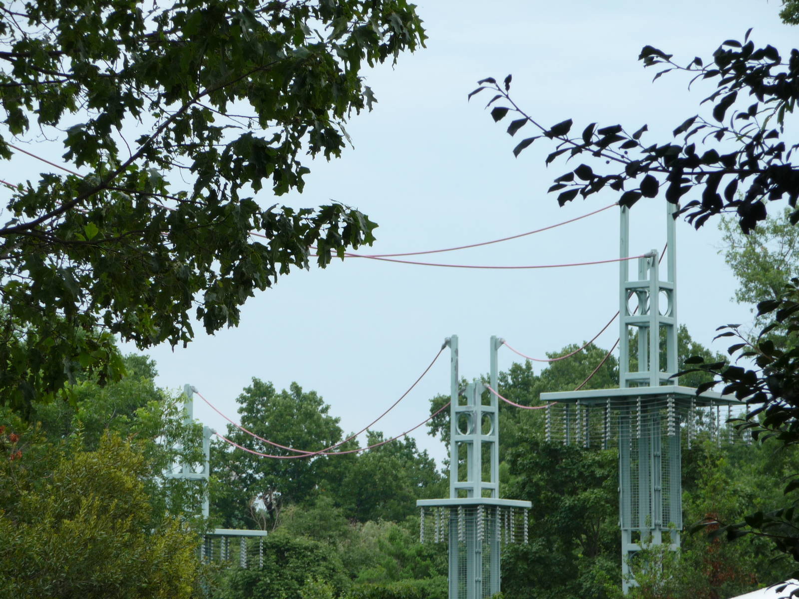 National Zoo - Orangutan O-Line