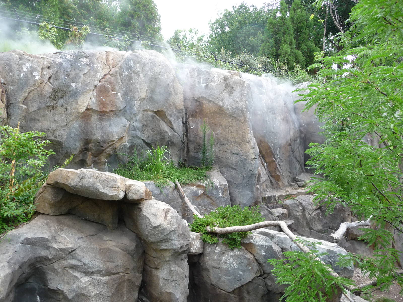 National Zoo - Red Panda Exhibit