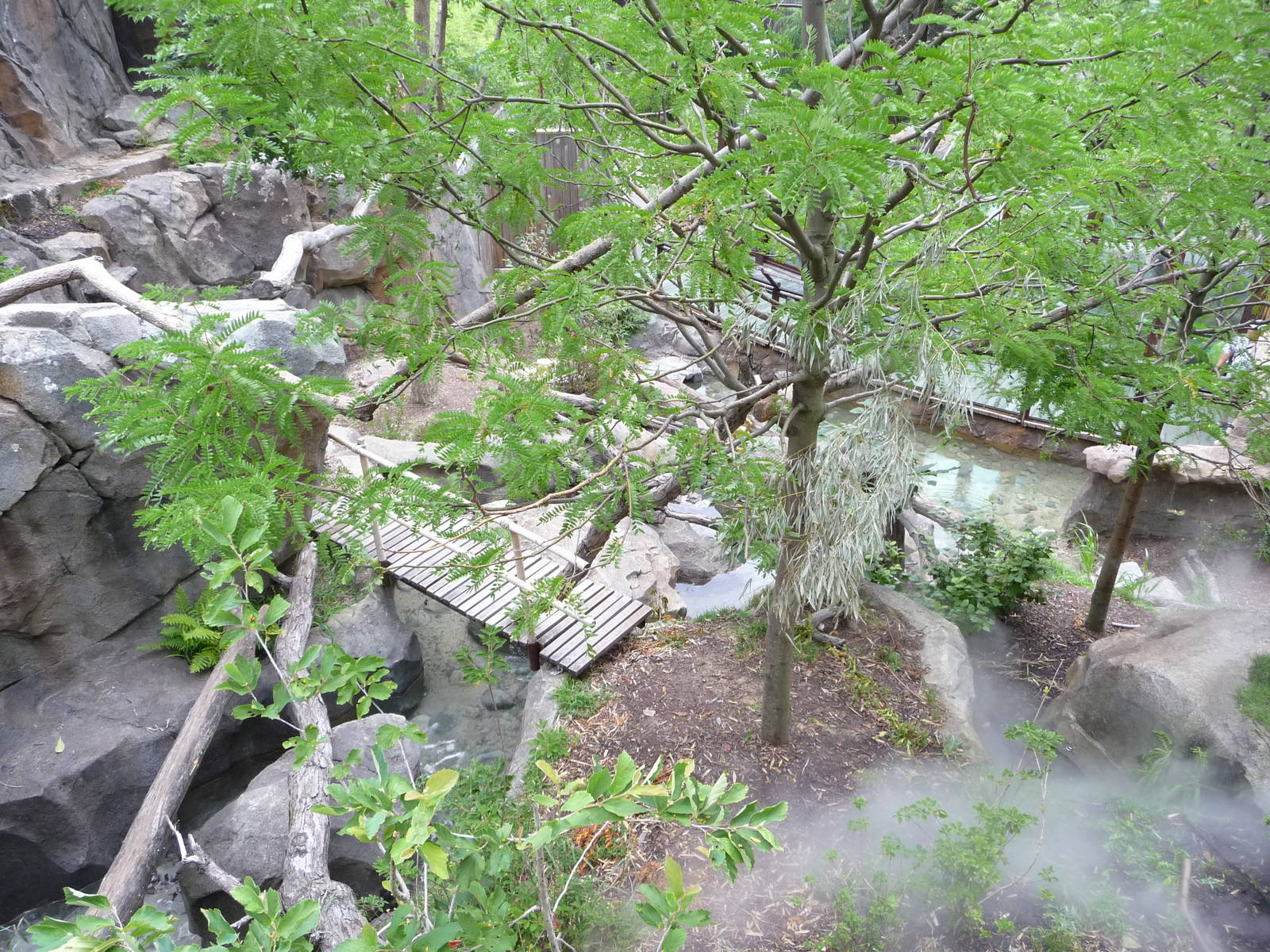 National Zoo - Red Panda Exhibit
