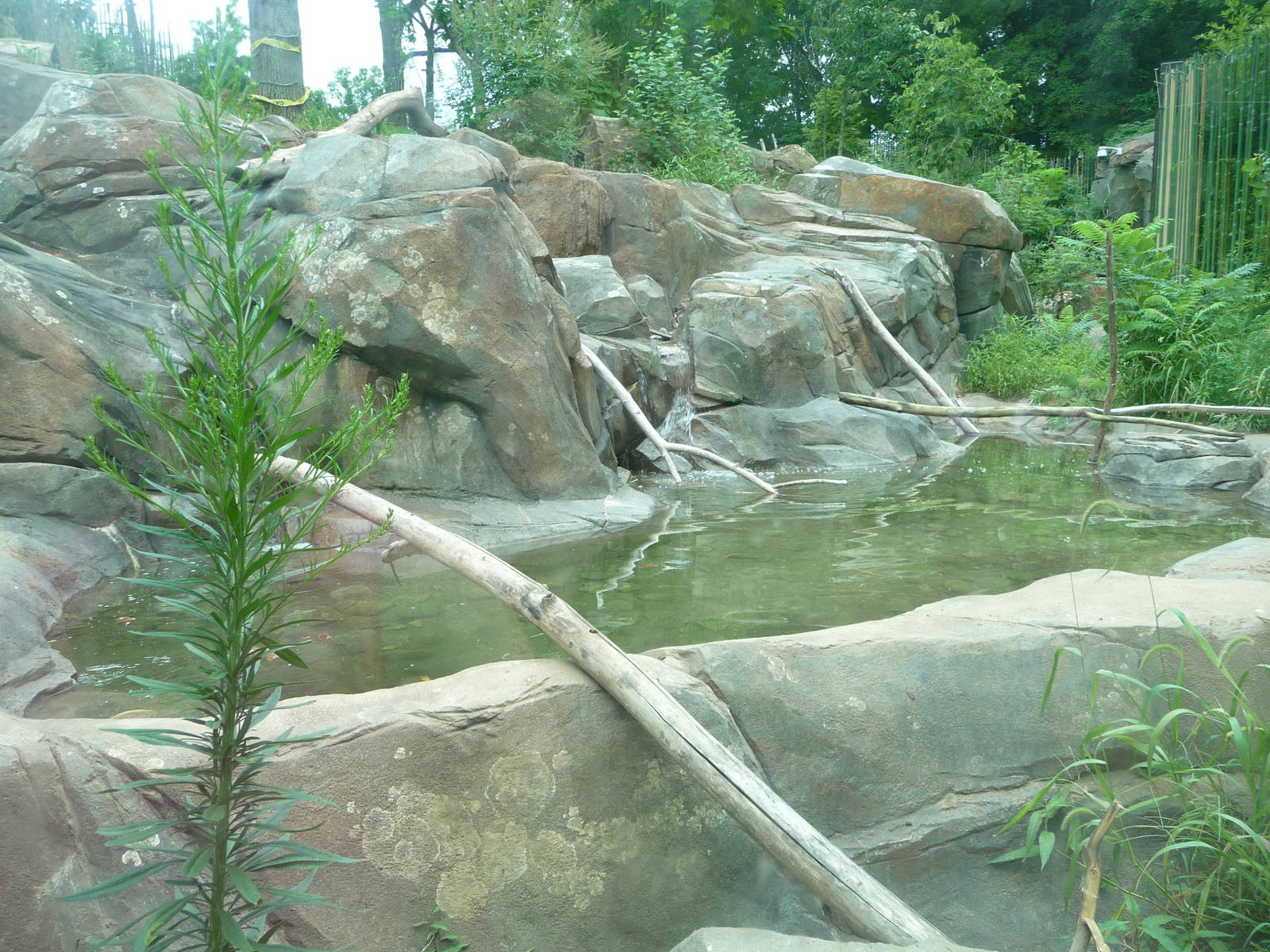National Zoo - Sloth Bear Exhibit