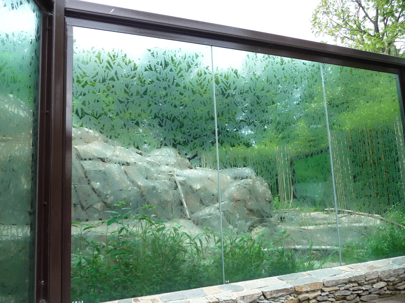 National Zoo - Sloth Bear Exhibit