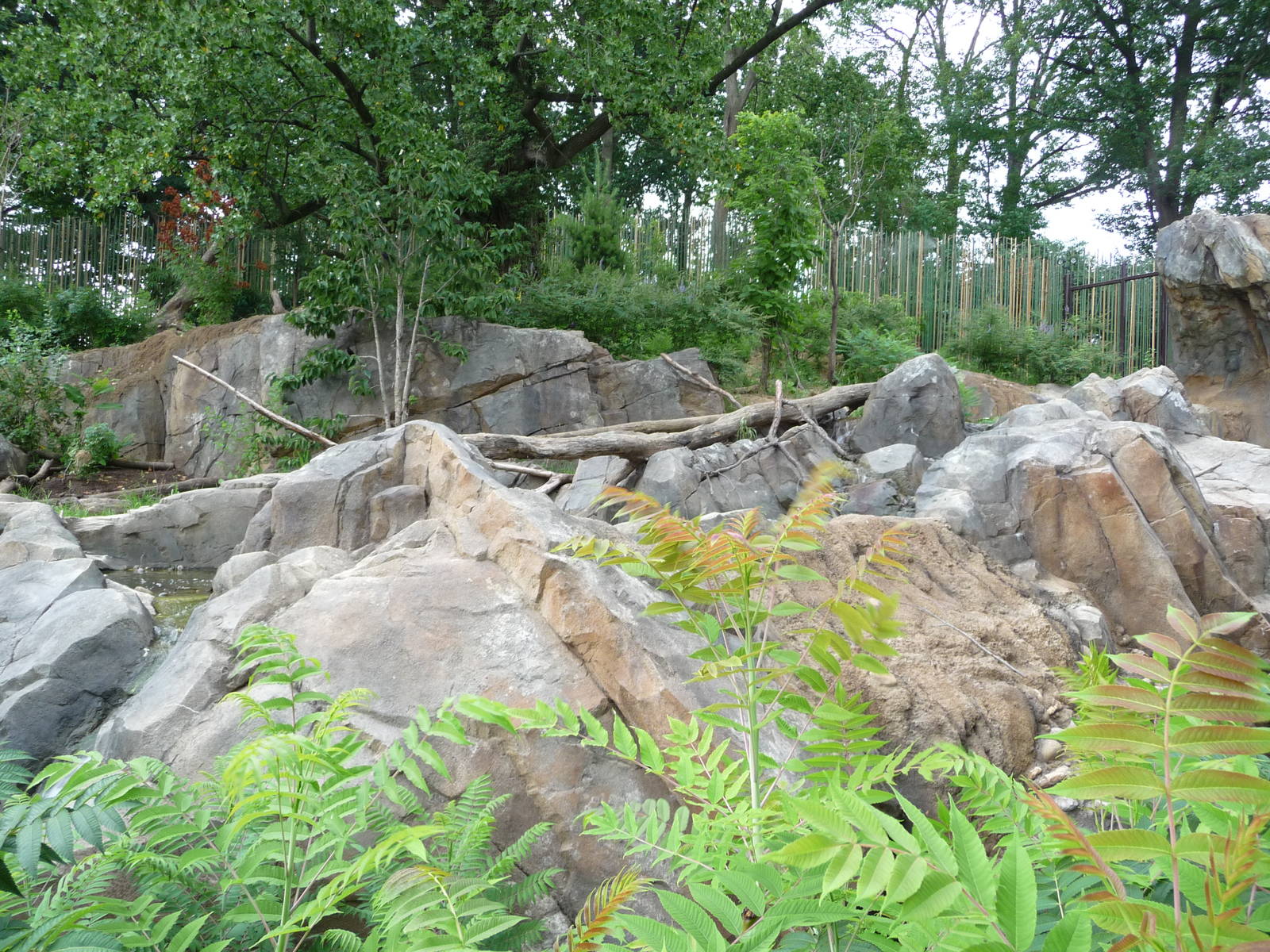 National Zoo - Sloth Bear Exhibit