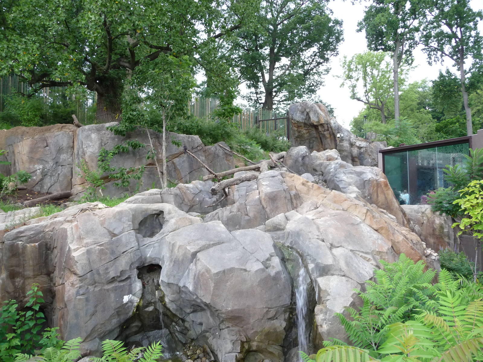 National Zoo - Sloth Bear Exhibit