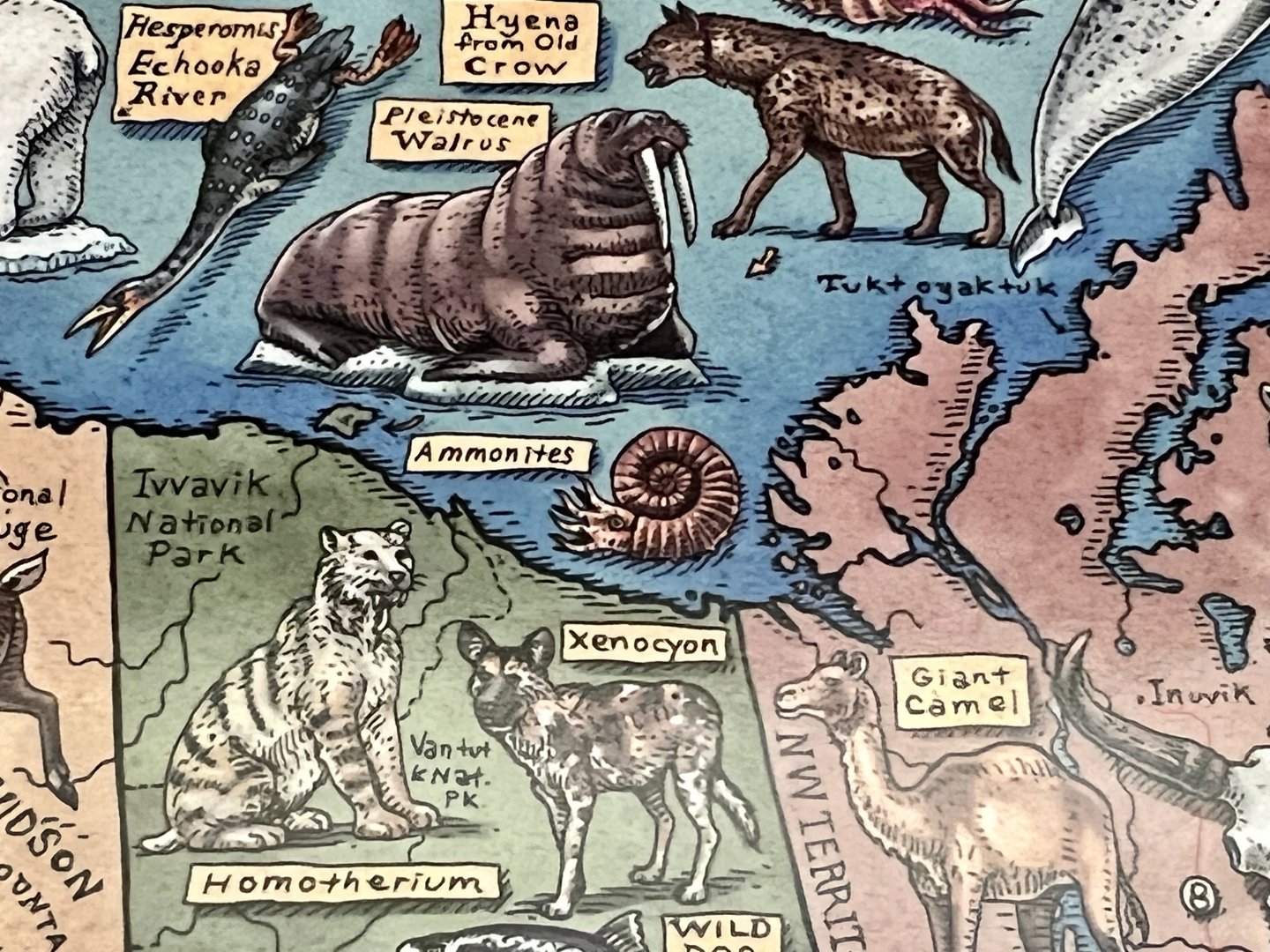 Native Alaskans? - Hyenas and Painted Dogs (Dholes?)