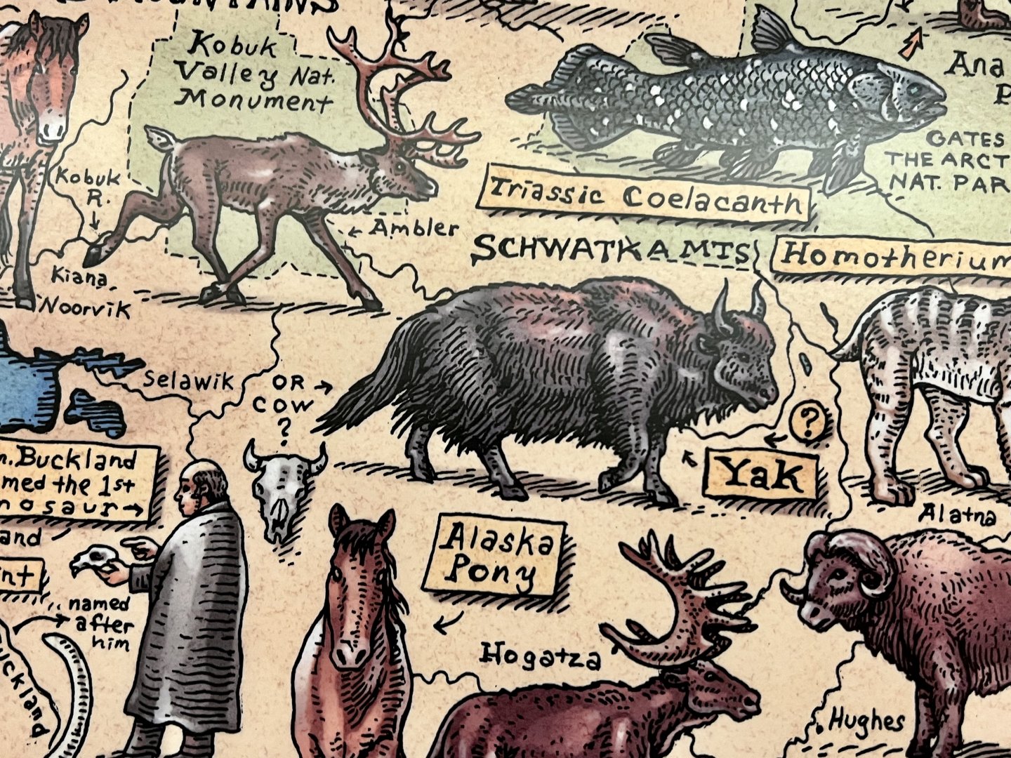 Native Alaskans - Yaks