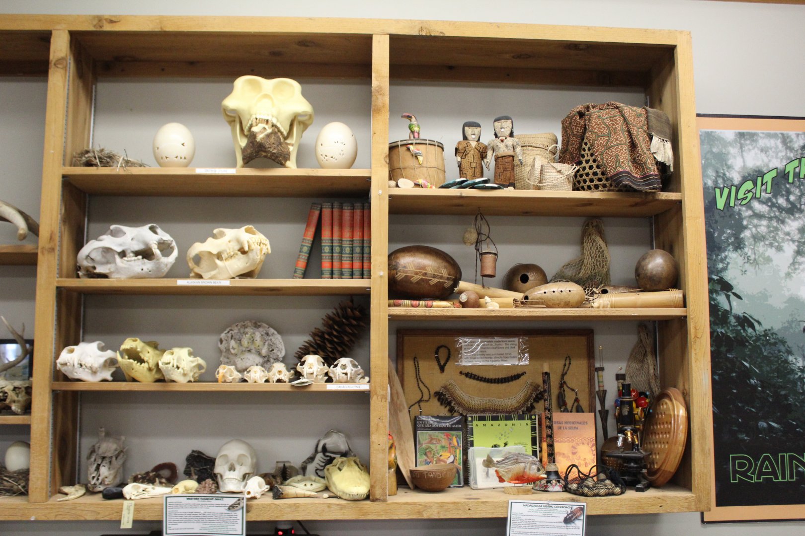 Native American Artifacts