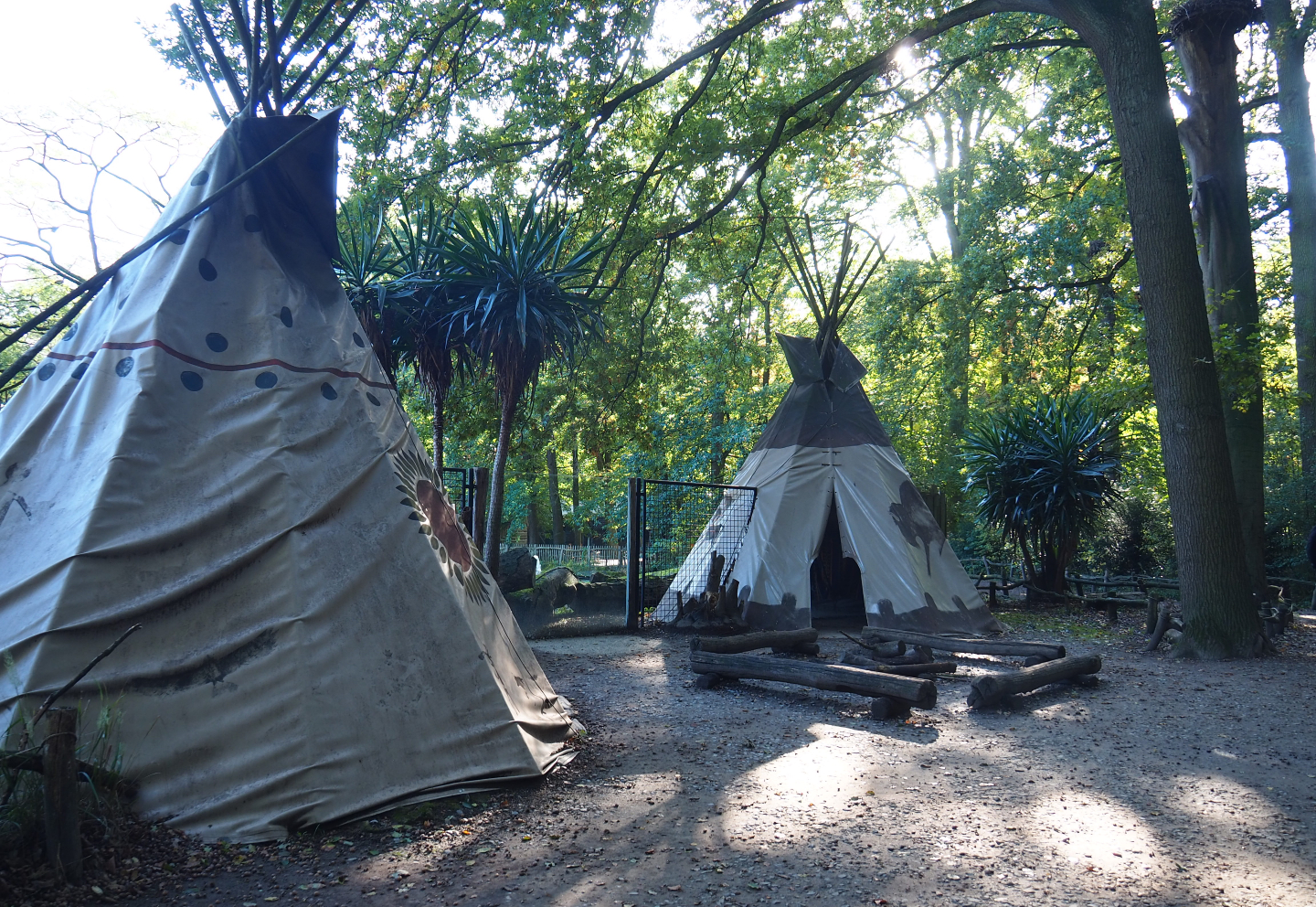 Native American camp next to the prairie paddock, 2020-10-10