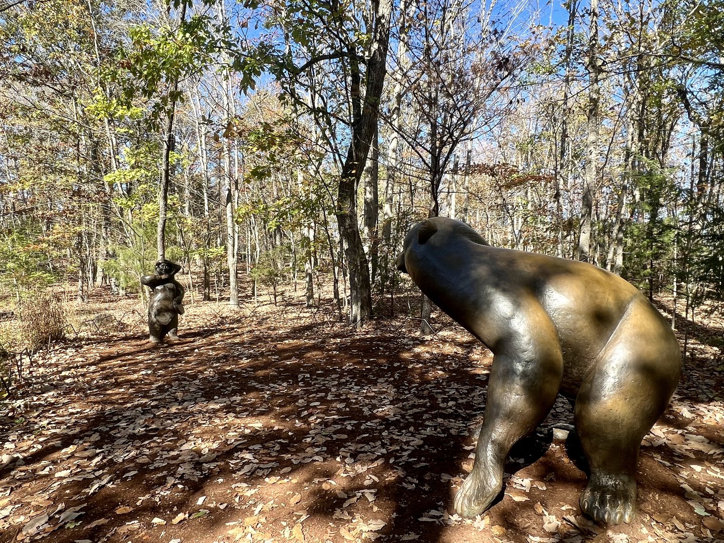 Native American Inspired Zoo Art