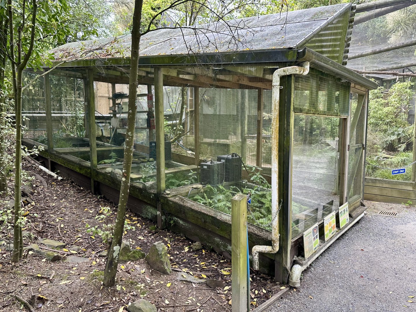 Native Amphibian House