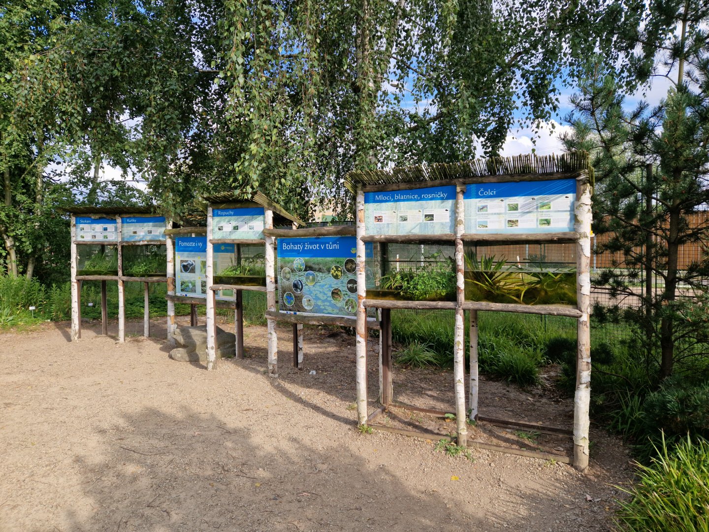 Native amphibians display