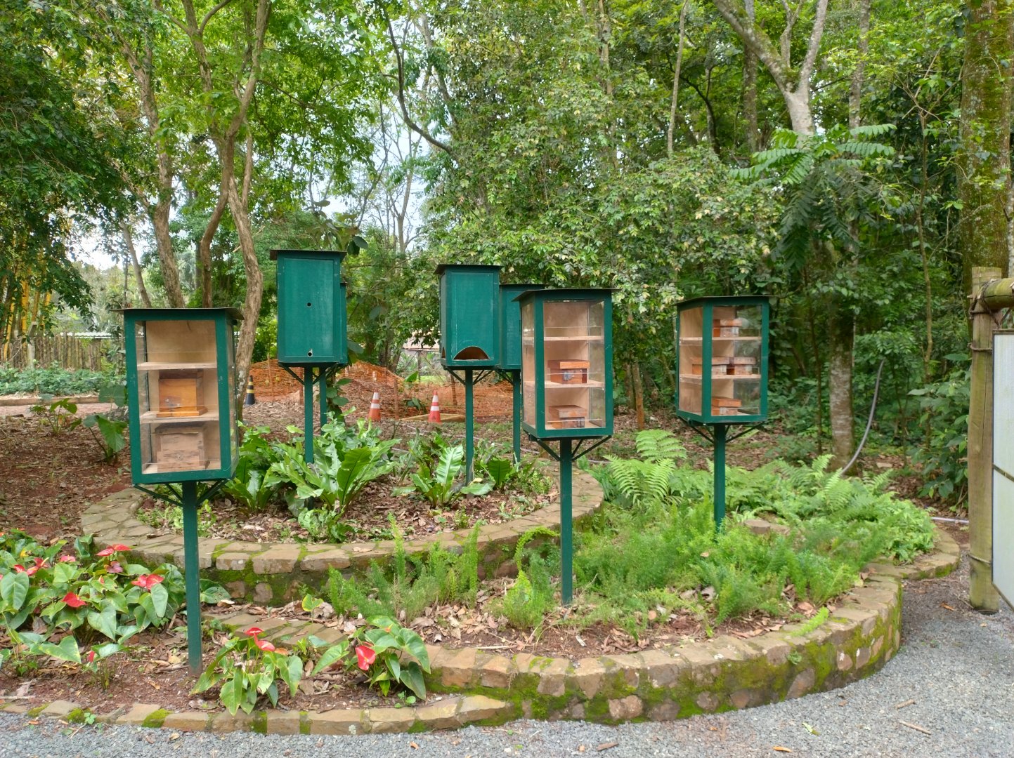 Native bees garden - RBBV (ZRRL)