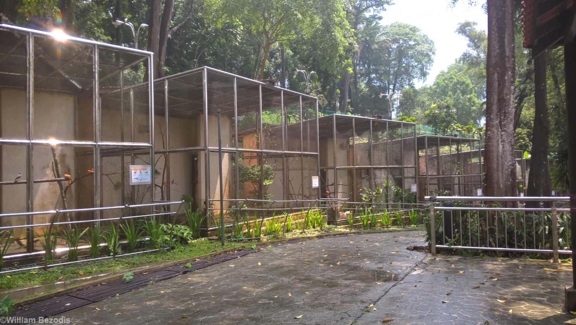 Native Bird Aviaries