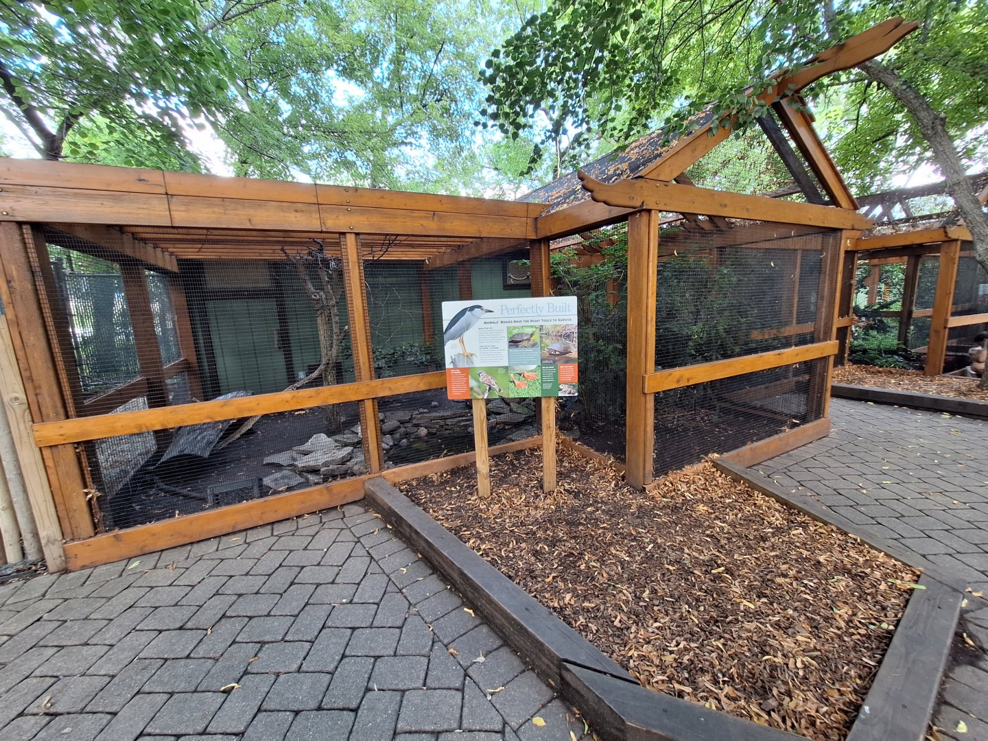 Native bird aviary 1