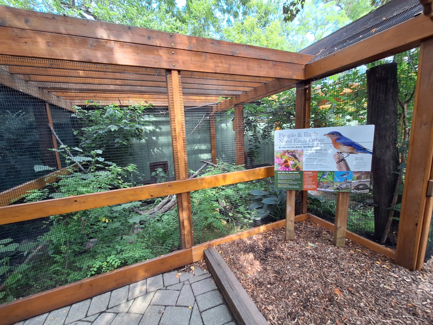 Native bird aviary 2