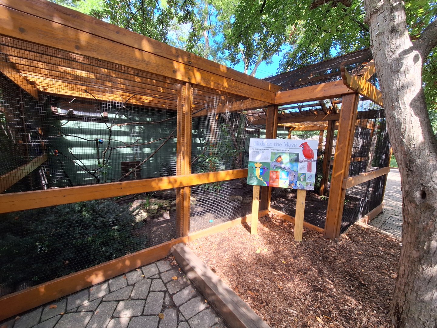 Native bird aviary 3