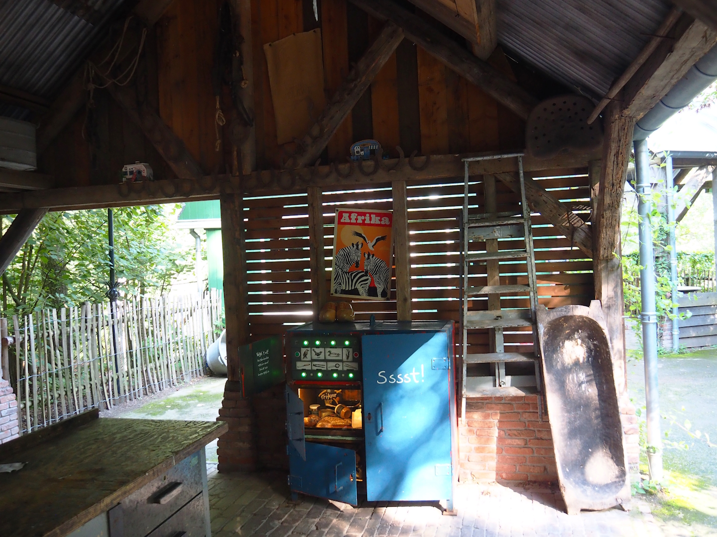 Native bird education area, 2023-09-24