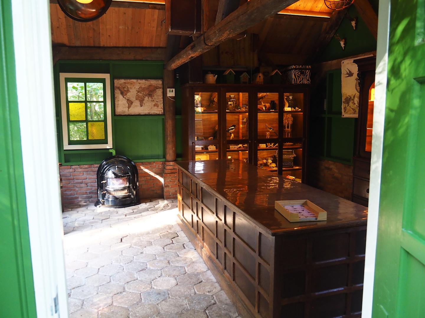 Native bird education area - Interior displays, 2023-09-24
