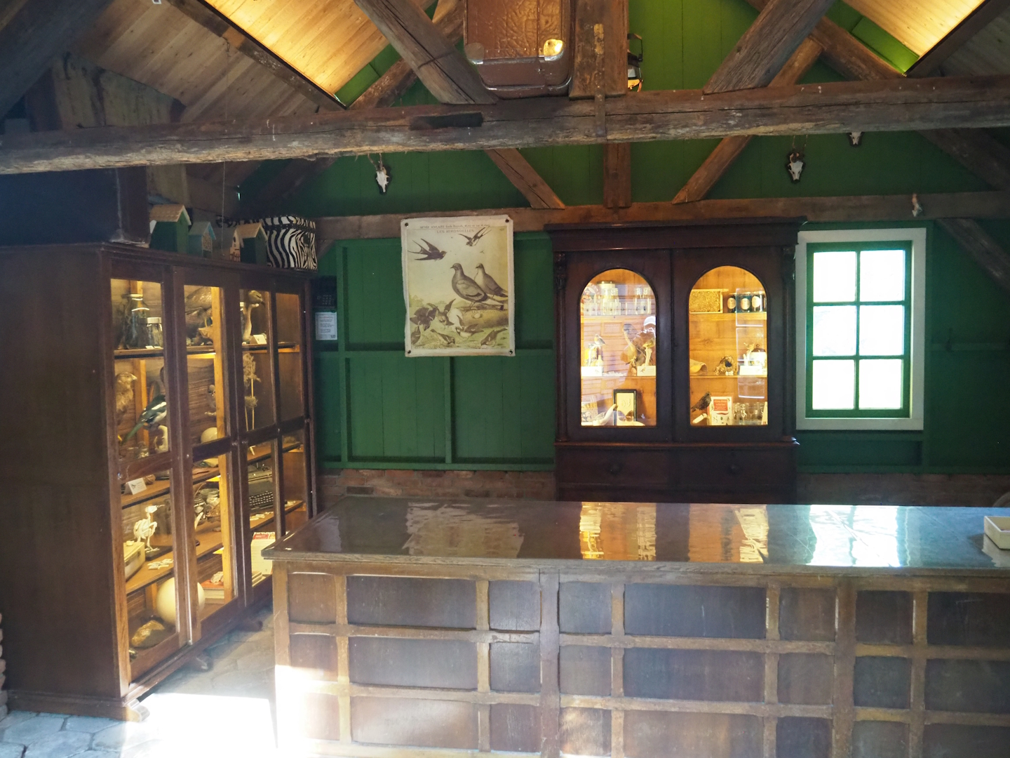 Native bird education area - Interior displays, 2023-09-24