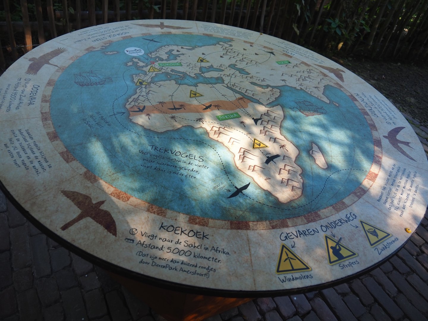 Native bird education area - Migratory birds sign, 2023-09-24