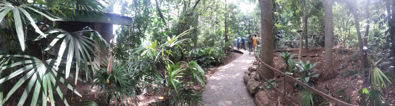 Native bird Walkthrough Aviary