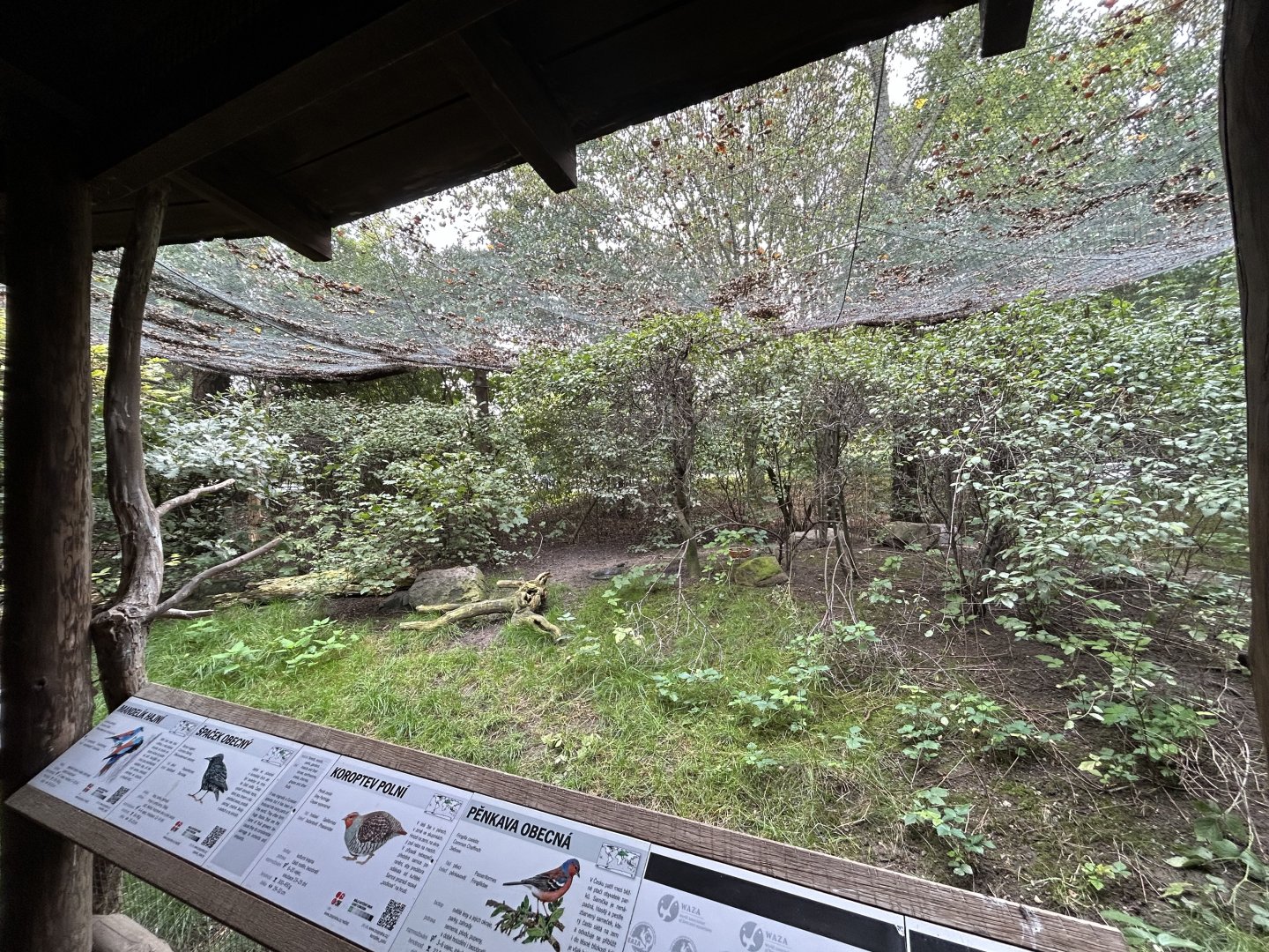 Native Bird Walkthrough Aviary